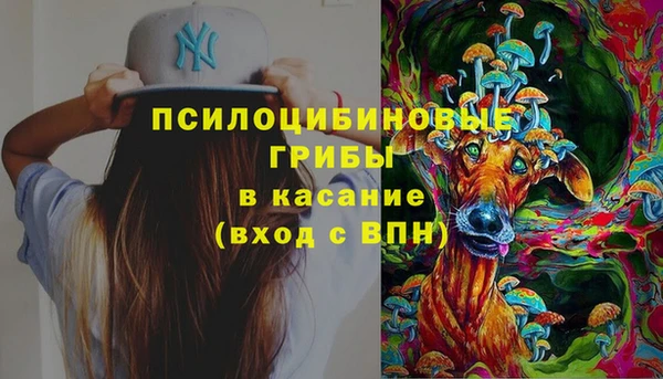 каннабис Богородицк