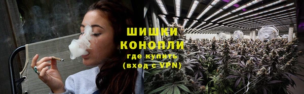 дживик Богданович