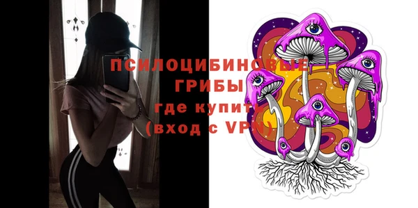 ПСИЛОЦИБИНОВЫЕ ГРИБЫ Богородск